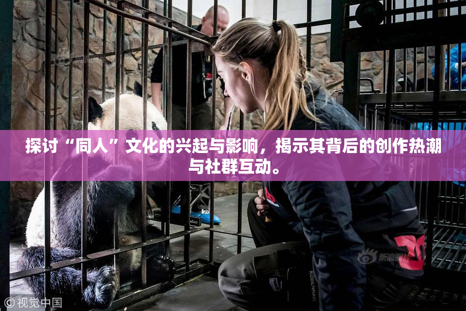 探讨“同人”文化的兴起与影响，揭示其背后的创作热潮与社群互动。