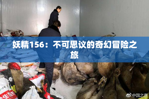 妖精156：不可思议的奇幻冒险之旅
