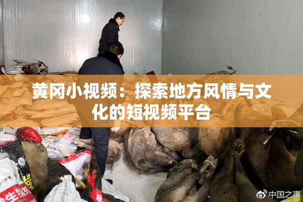 黄冈小视频：探索地方风情与文化的短视频平台