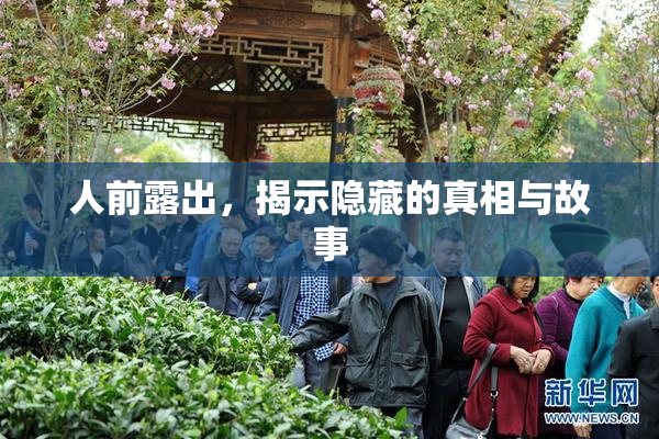 人前露出，揭示隐藏的真相与故事
