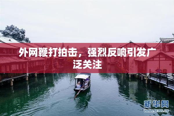 外网鞭打拍击，强烈反响引发广泛关注