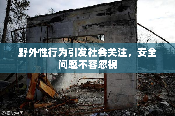 野外性行为引发社会关注，安全问题不容忽视