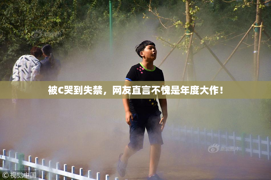 被C哭到失禁，网友直言不愧是年度大作！