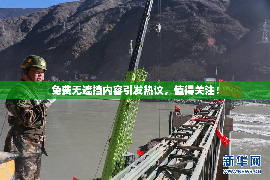 免费无遮挡内容引发热议，值得关注！