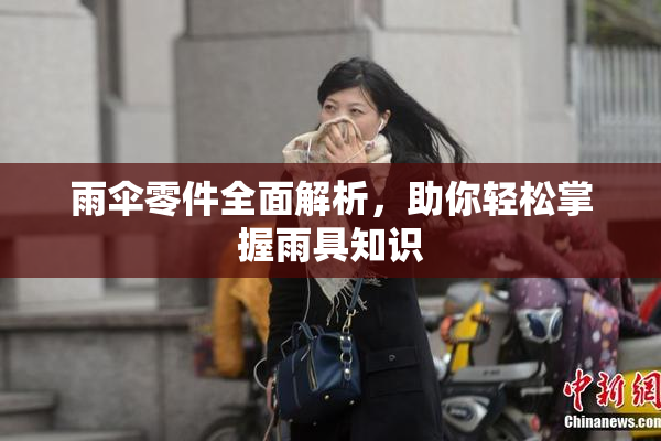雨伞零件全面解析，助你轻松掌握雨具知识