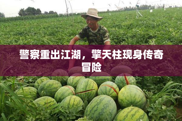 警察重出江湖，擎天柱现身传奇冒险