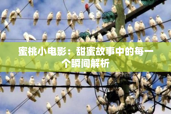 蜜桃小电影：甜蜜故事中的每一个瞬间解析