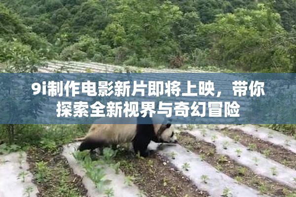 9i制作电影新片即将上映，带你探索全新视界与奇幻冒险
