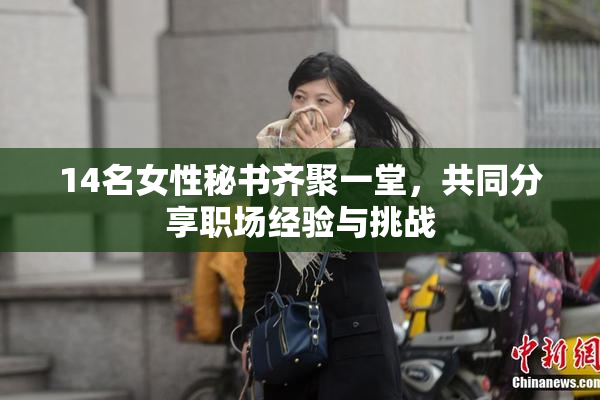 14名女性秘书齐聚一堂，共同分享职场经验与挑战