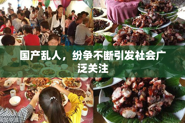 国产乱人，纷争不断引发社会广泛关注