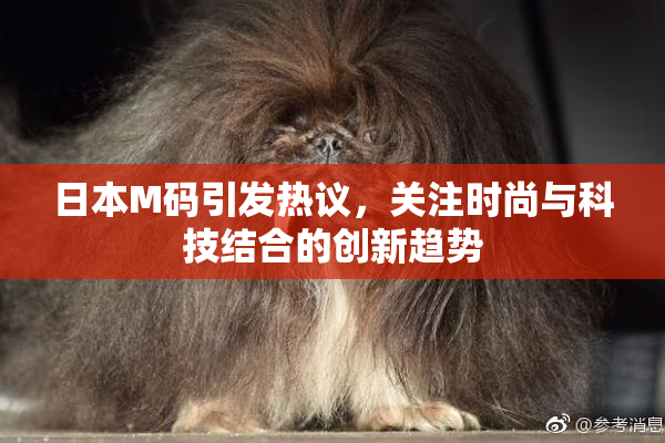 日本M码引发热议，关注时尚与科技结合的创新趋势