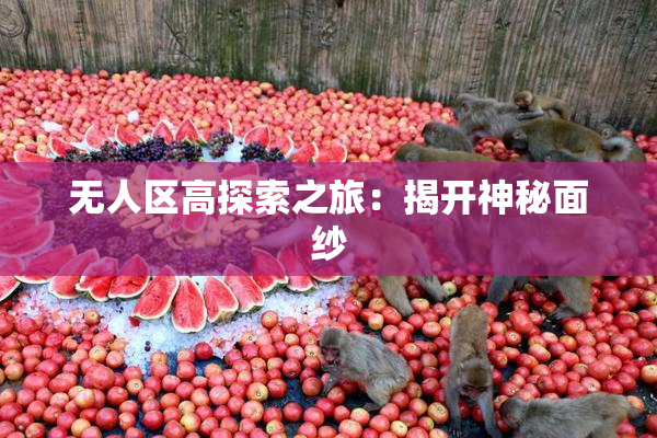 无人区高探索之旅：揭开神秘面纱