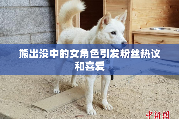 熊出没中的女角色引发粉丝热议和喜爱