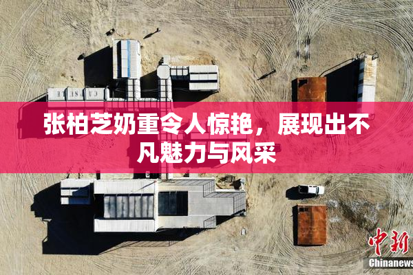 张柏芝奶重令人惊艳，展现出不凡魅力与风采