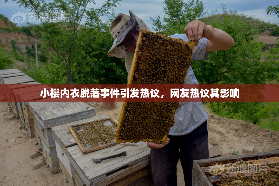 小樱内衣脱落事件引发热议，网友热议其影响