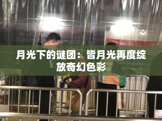 月光下的谜团：皆月光再度绽放奇幻色彩