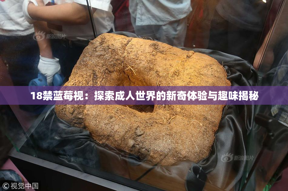 18禁蓝莓视：探索成人世界的新奇体验与趣味揭秘
