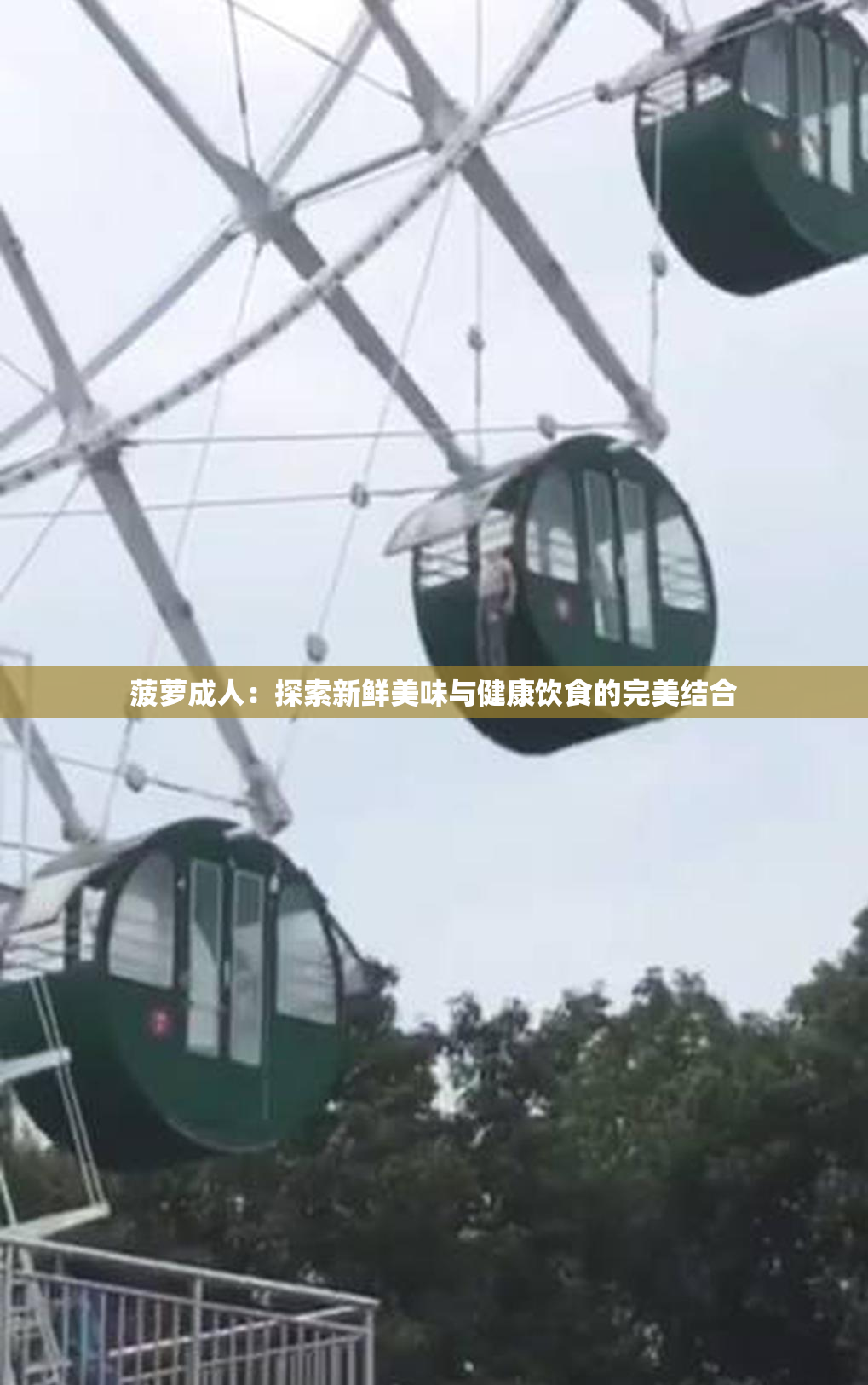 菠萝成人：探索新鲜美味与健康饮食的完美结合