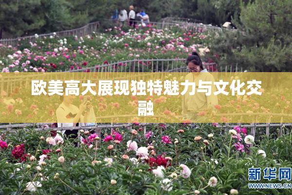 欧美高大展现独特魅力与文化交融