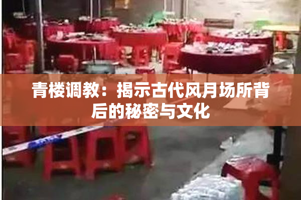 青楼调教：揭示古代风月场所背后的秘密与文化