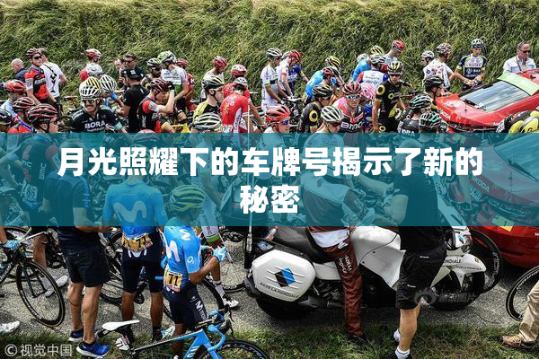 月光照耀下的车牌号揭示了新的秘密