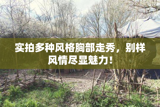 实拍多种风格胸部走秀，别样风情尽显魅力！
