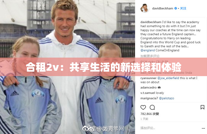 合租2v：共享生活的新选择和体验