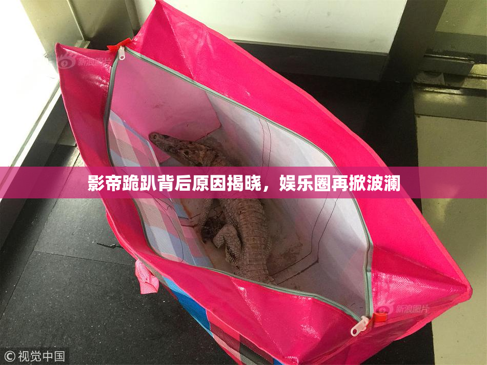 影帝跪趴背后原因揭晓，娱乐圈再掀波澜