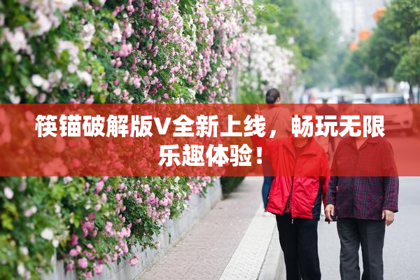 筷锚破解版V全新上线，畅玩无限乐趣体验！