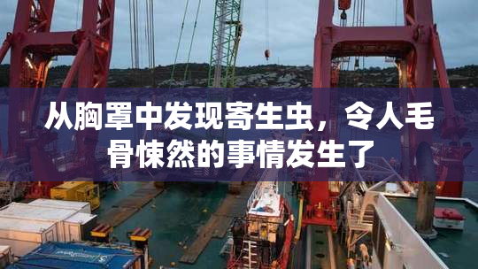 从胸罩中发现寄生虫，令人毛骨悚然的事情发生了