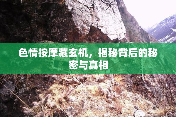 色情按摩藏玄机，揭秘背后的秘密与真相