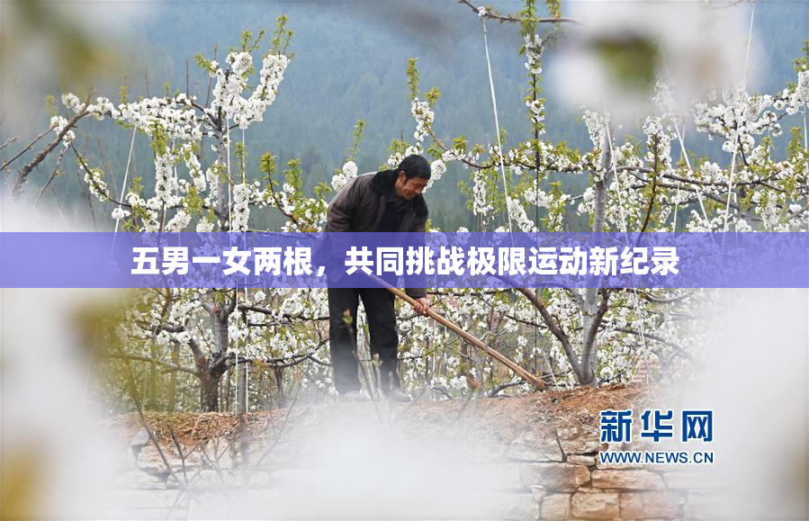 五男一女两根，共同挑战极限运动新纪录