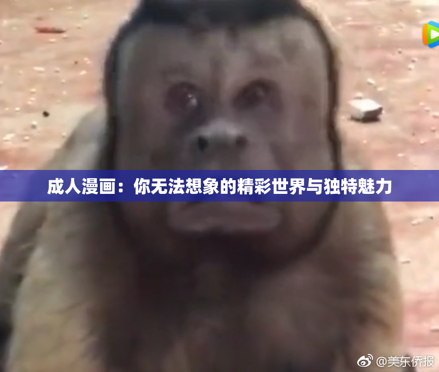 成人漫画：你无法想象的精彩世界与独特魅力