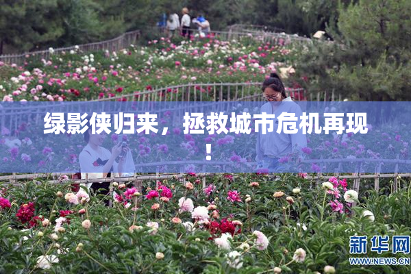 绿影侠归来，拯救城市危机再现！