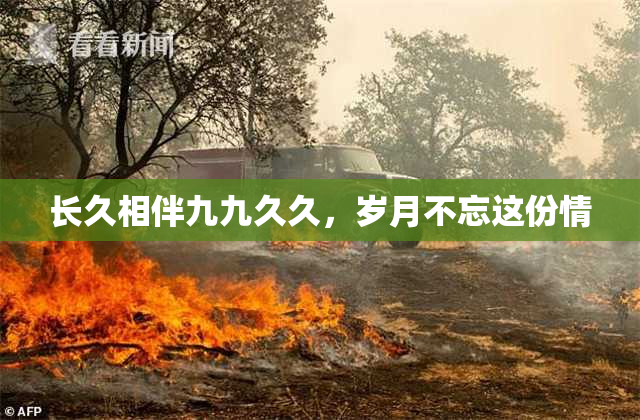 长久相伴九九久久，岁月不忘这份情