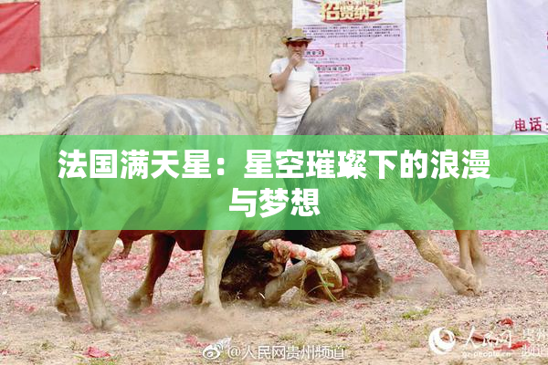 法国满天星：星空璀璨下的浪漫与梦想