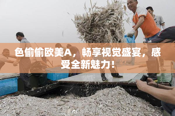 色偷偷欧美A，畅享视觉盛宴，感受全新魅力！