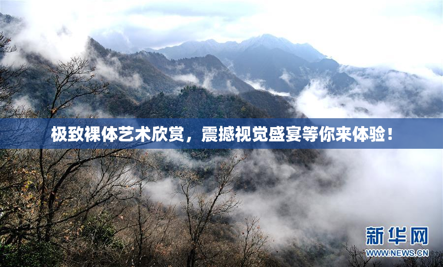 极致裸体艺术欣赏，震撼视觉盛宴等你来体验！