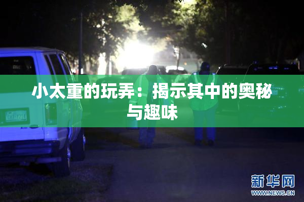 小太重的玩弄：揭示其中的奥秘与趣味