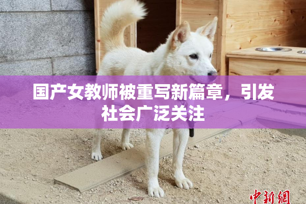 国产女教师被重写新篇章，引发社会广泛关注