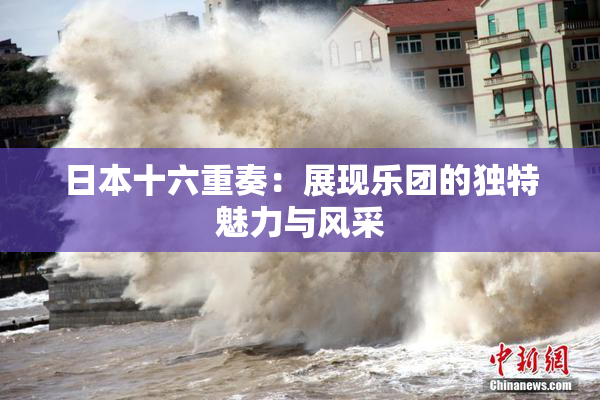 日本十六重奏：展现乐团的独特魅力与风采