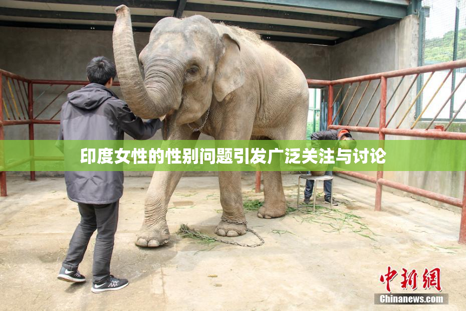 印度女性的性别问题引发广泛关注与讨论