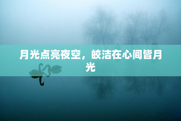 月光点亮夜空，皎洁在心间皆月光
