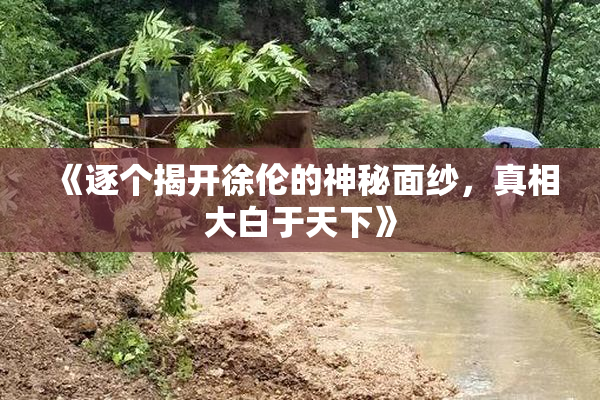 《逐个揭开徐伦的神秘面纱，真相大白于天下》