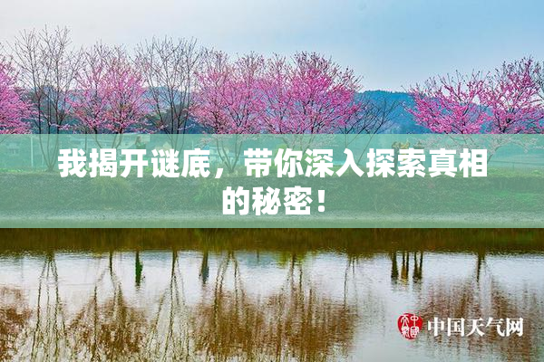我揭开谜底，带你深入探索真相的秘密！