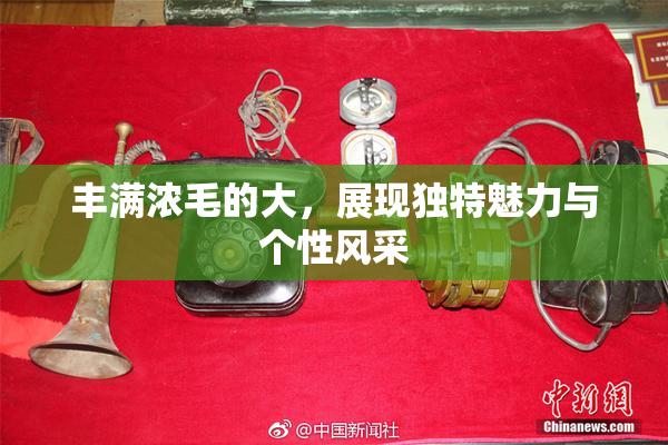 丰满浓毛的大，展现独特魅力与个性风采