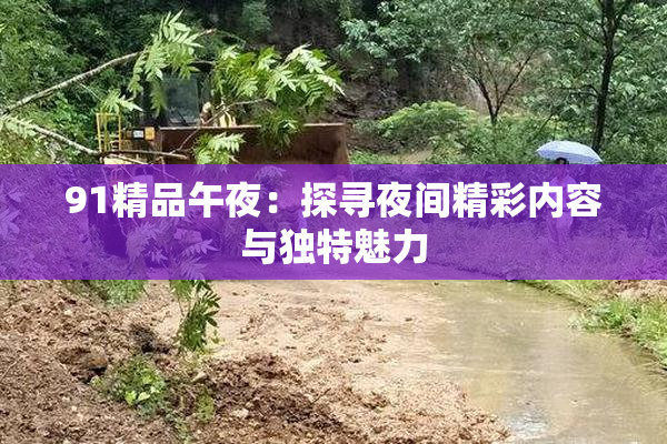 91精品午夜：探寻夜间精彩内容与独特魅力