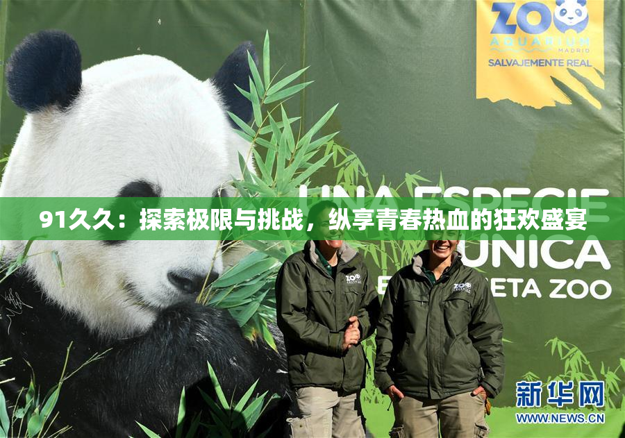 91久久：探索极限与挑战，纵享青春热血的狂欢盛宴