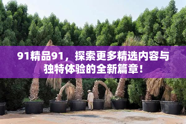 91精品91，探索更多精选内容与独特体验的全新篇章！