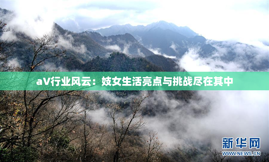 aV行业风云：妓女生活亮点与挑战尽在其中